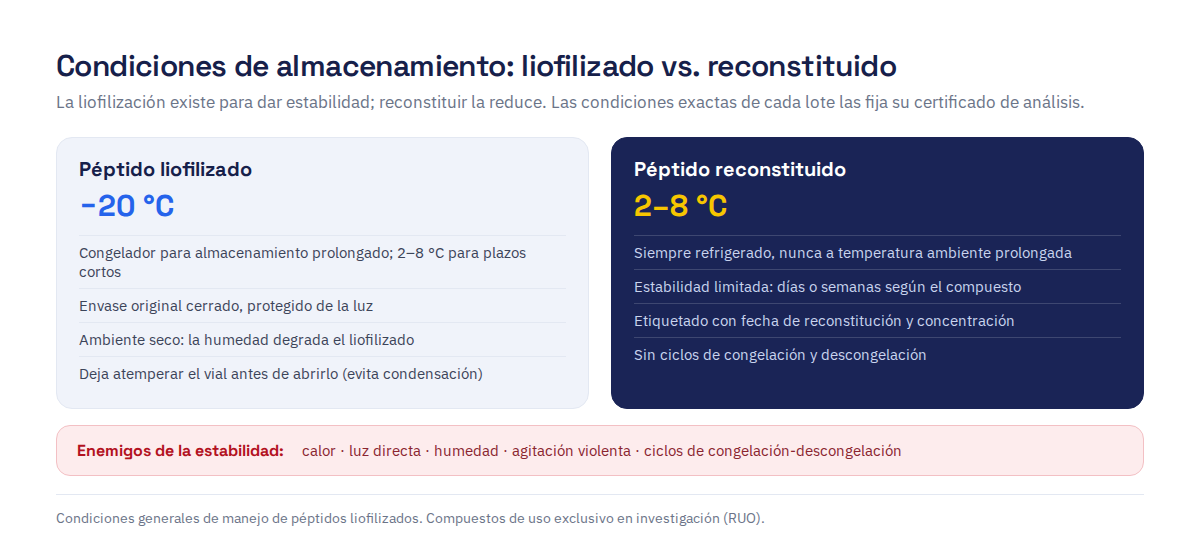 Condiciones de almacenamiento de péptidos: liofilizado a −20 °C protegido de luz y humedad; reconstituido a 2–8 °C con estabilidad limitada; enemigos: calor, luz, humedad, agitación y ciclos de congelación