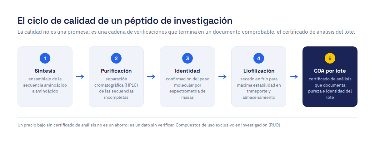 Ciclo de calidad de un péptido de investigación en cinco pasos: síntesis, purificación por HPLC, confirmación de identidad por espectrometría de masas, liofilización y certificado de análisis por lote
