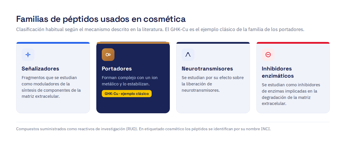 Cuatro familias de péptidos usados en cosmética: señalizadores, portadores, neurotransmisores e inhibidores enzimáticos
