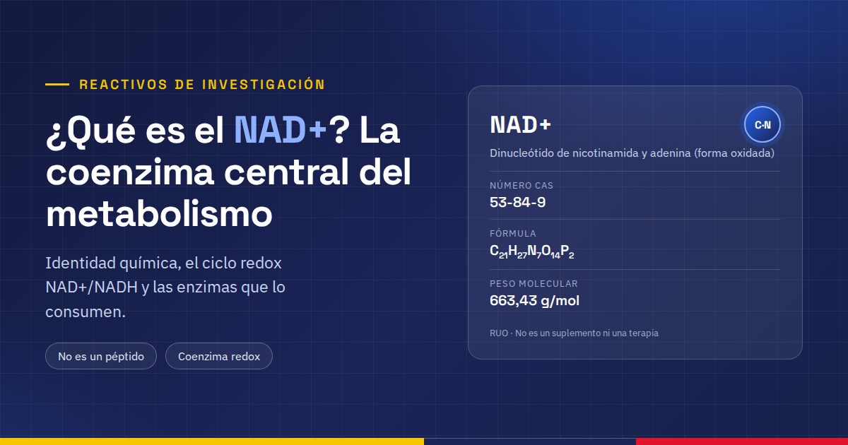 Ficha del NAD+ con su CAS 53-84-9, fórmula y peso molecular