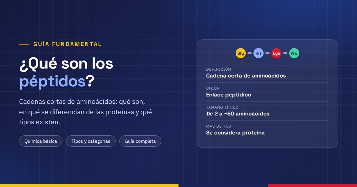 ¿Qué son los péptidos? Cadenas cortas de aminoácidos: definición, tipos y ejemplos