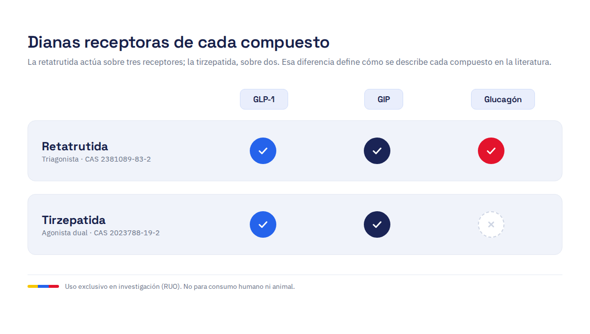 Diagrama comparativo: la retatrutida actúa sobre los receptores GLP-1, GIP y glucagón; la tirzepatida sobre GLP-1 y GIP