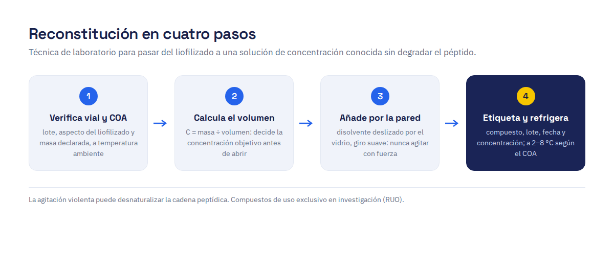 Reconstitución de péptidos en cuatro pasos: verificar el vial y el COA, calcular el volumen con la fórmula de concentración, añadir el disolvente por la pared del vial y etiquetar y refrigerar