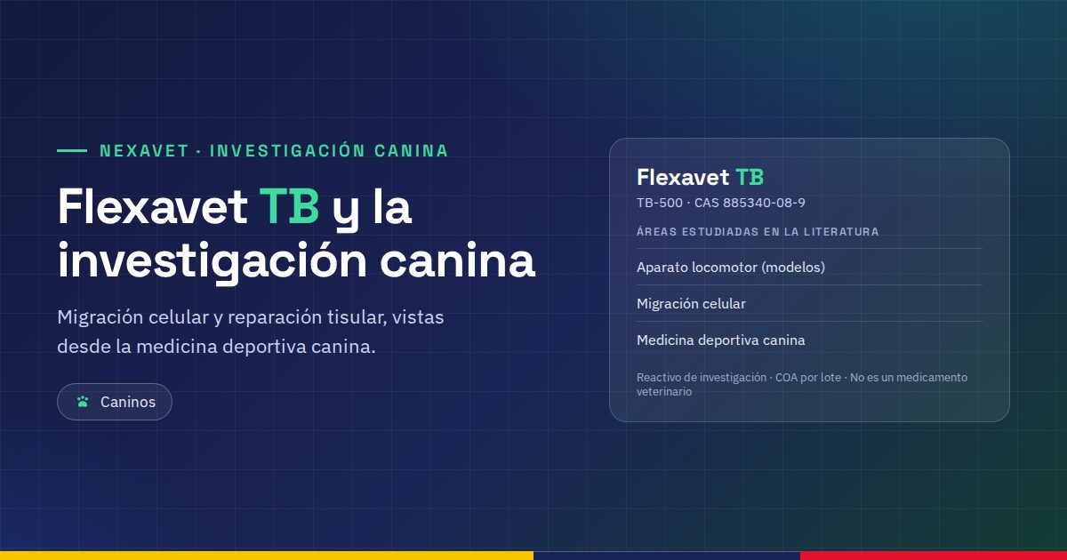 Flexavet TB: el TB-500 en la investigación canina