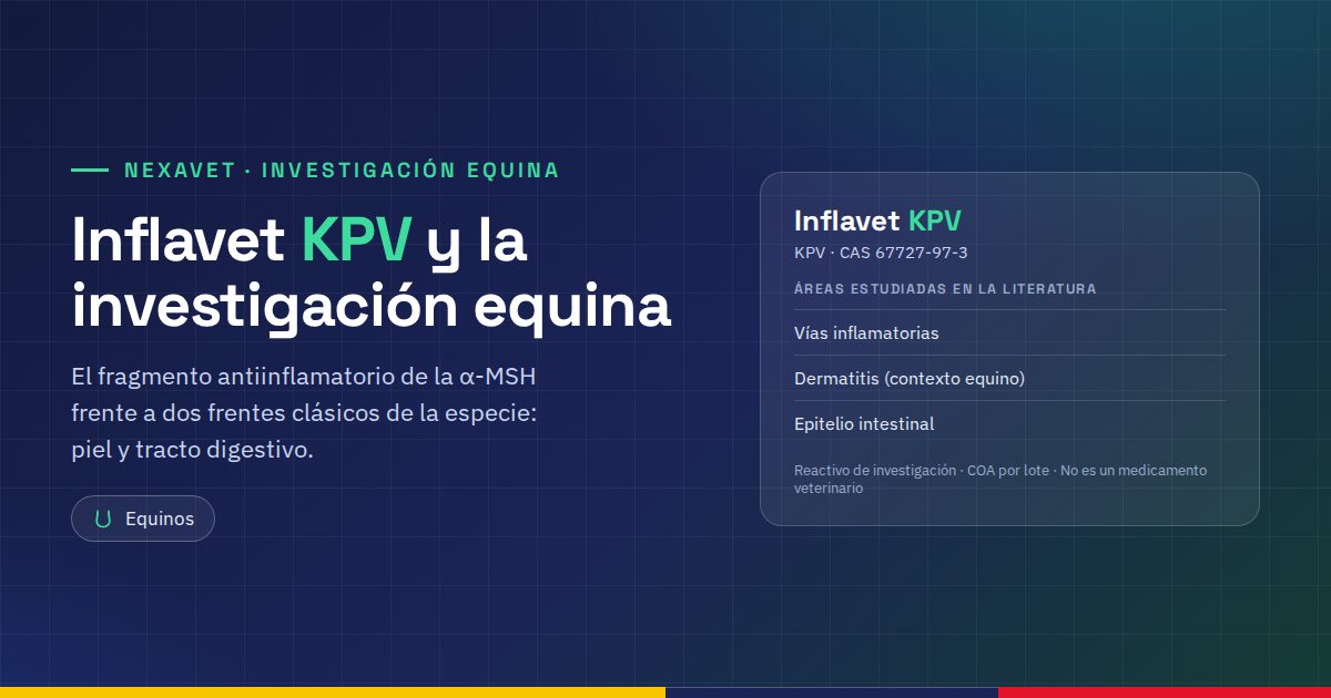 Inflavet KPV: el KPV en la investigación equina