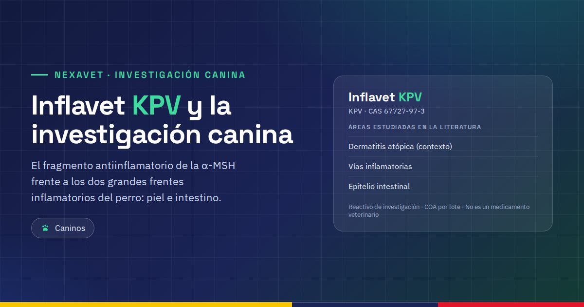 Inflavet KPV: el KPV en la investigación canina