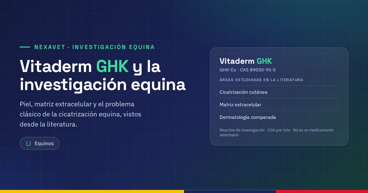 Vitaderm GHK: el GHK-Cu en la investigación equina