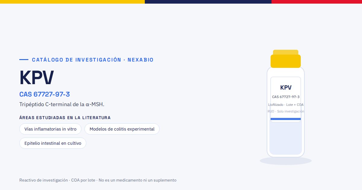 KPV: péptido de investigación con número CAS 67727-97-3, presentación liofilizada con COA por lote
